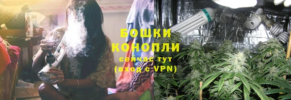 амф Аркадак