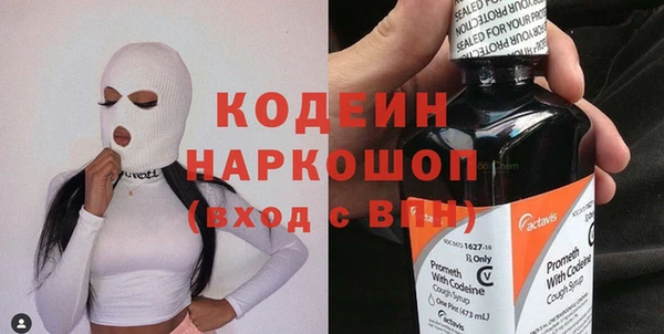 ПСИЛОЦИБИНОВЫЕ ГРИБЫ Арсеньев