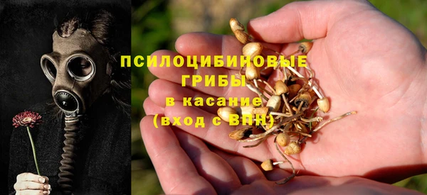 ПСИЛОЦИБИНОВЫЕ ГРИБЫ Арсеньев