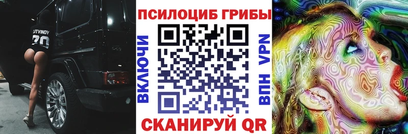 Псилоцибиновые грибы Psilocybe  Могоча 
